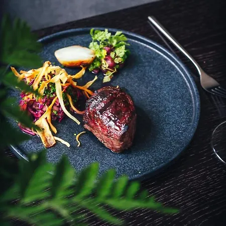 Wasa Historical 1938 Boutique Hotel Pärnu