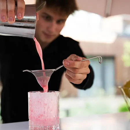 Wasa Historical 1938 Boutique Hotel 3*